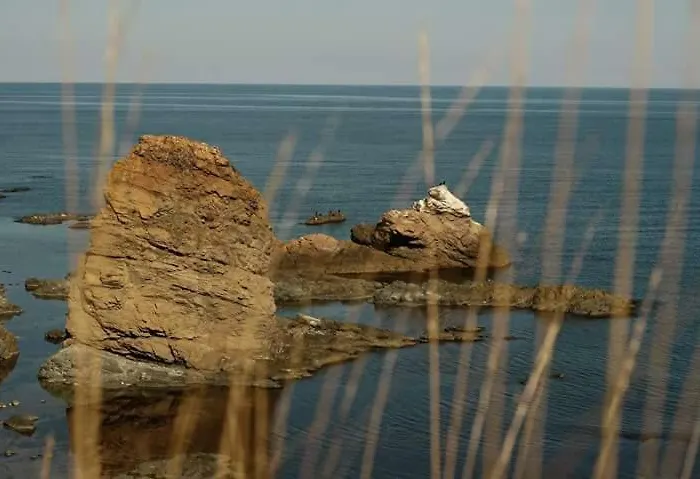 Privat bolig Sweet Sinemorets Sinemoretz